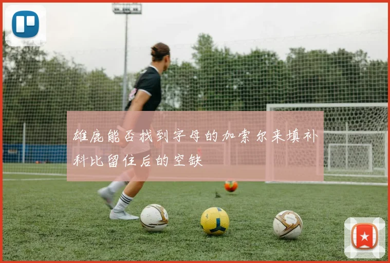 雄鹿能否找到字母的加索尔来填补科比留住后的空缺