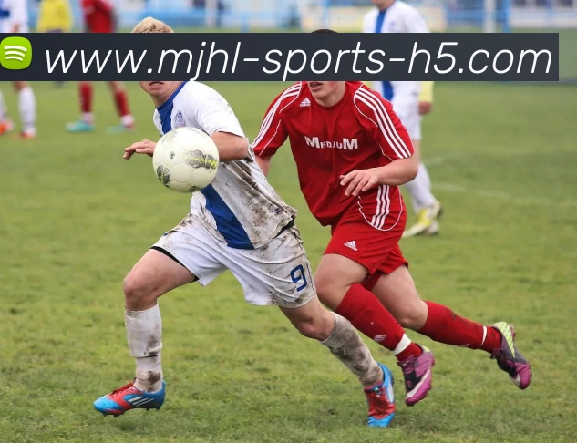 麻将胡了服务体系